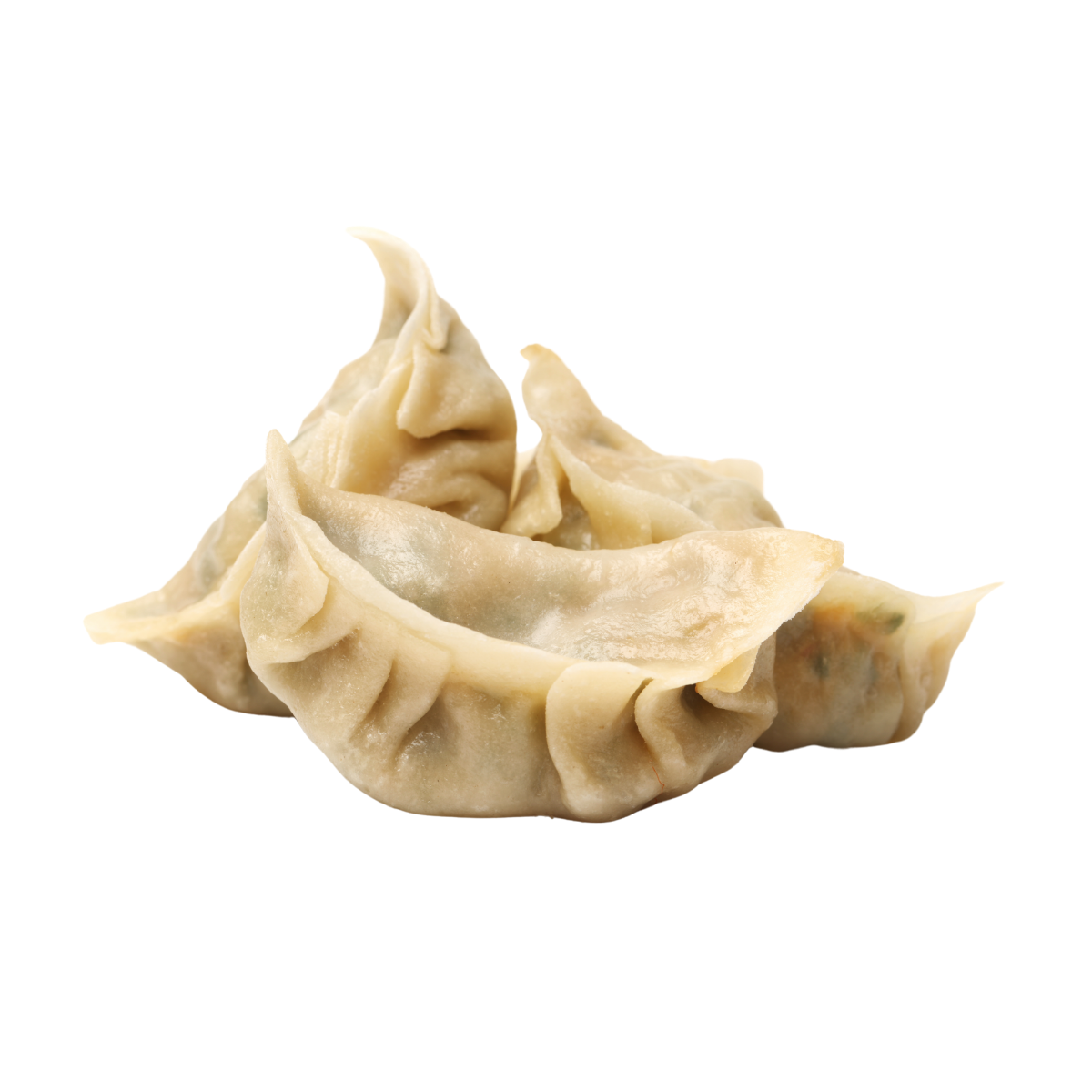 fotos-web-2025_solo-zip-gyoza-verdura2